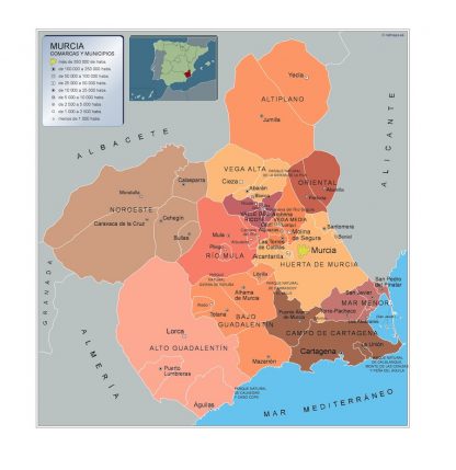 Mapa Murcia por municipios enmarcado plastificado